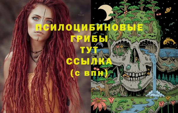 гидра Белокуриха