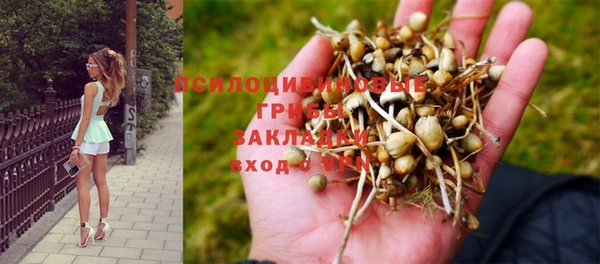 метамфетамин Михайлов