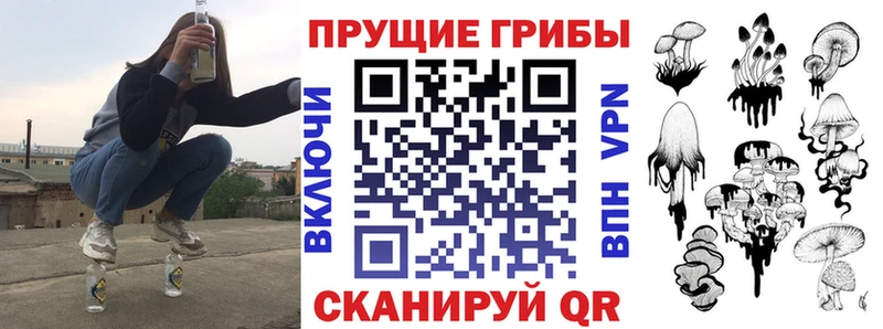 как найти закладки  Ельня  Галлюциногенные грибы Psilocybe 